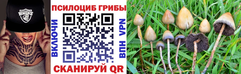 Галлюциногенные грибы GOLDEN TEACHER  Солнечногорск 