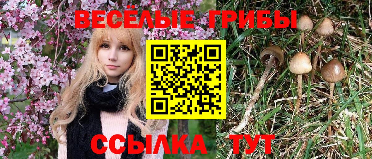 Псилоцибиновые грибы мухоморы  Галлюциногенные грибы Psilocybe  Вход с VPN  Солнечногорск 
