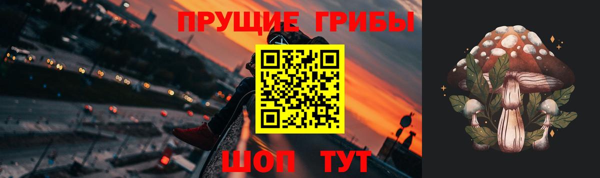 Галлюциногенные грибы мухоморы Солнечногорск